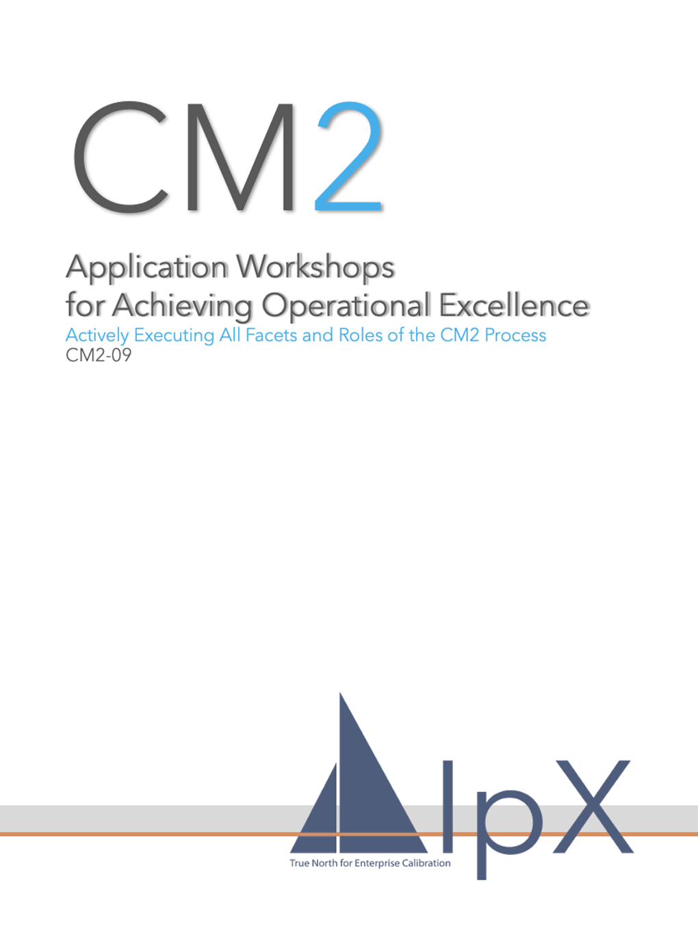 Application Workshops for Achieving Operational Excellence Course