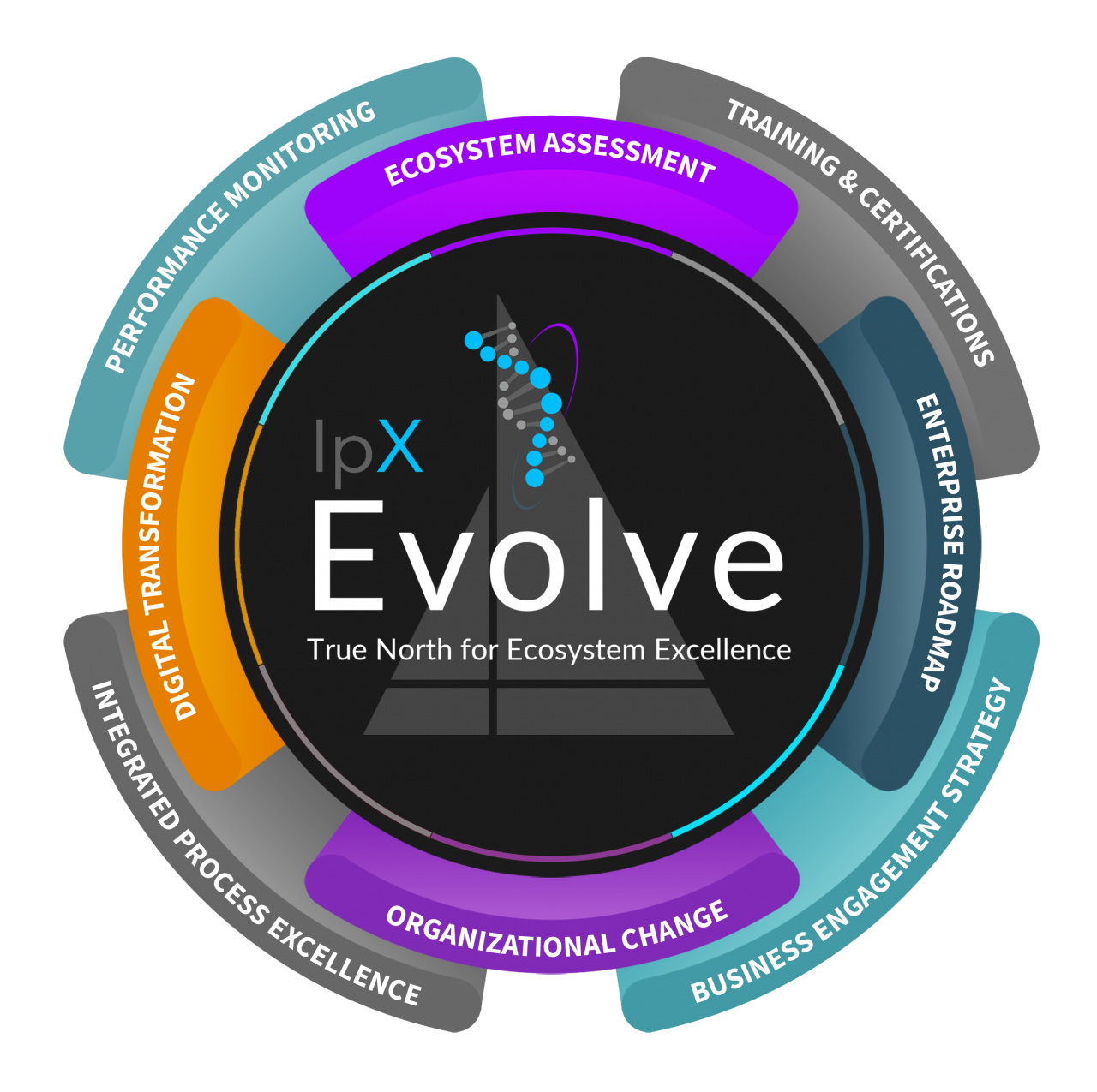 IpX True North Services EVOLVE