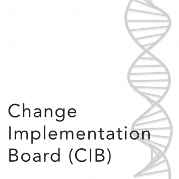 Change Implementation Board (CIB)